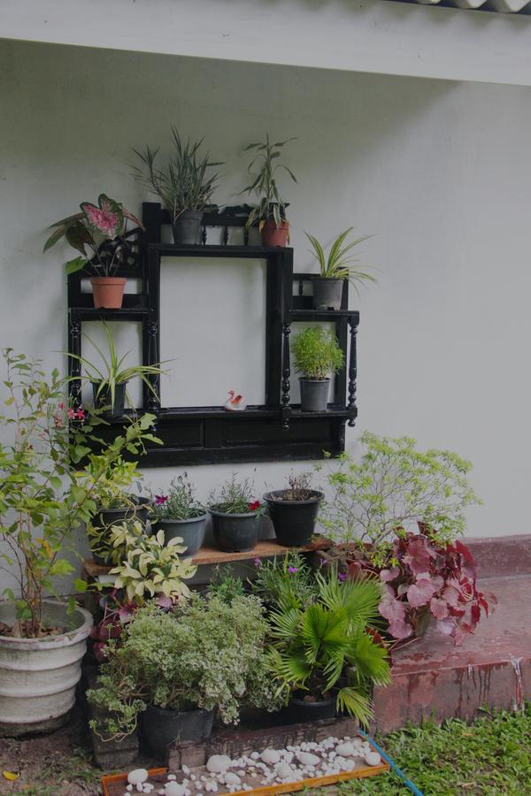 Coco Home เนกอมโบ ภายนอก รูปภาพ